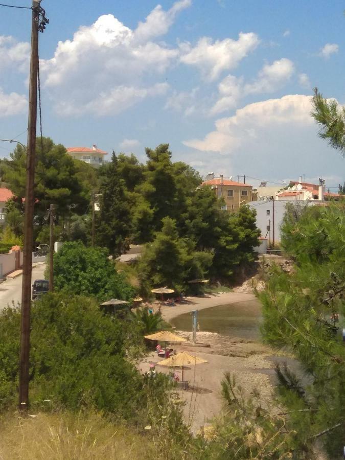 Iliahtida Daire Chalkís Dış mekan fotoğraf