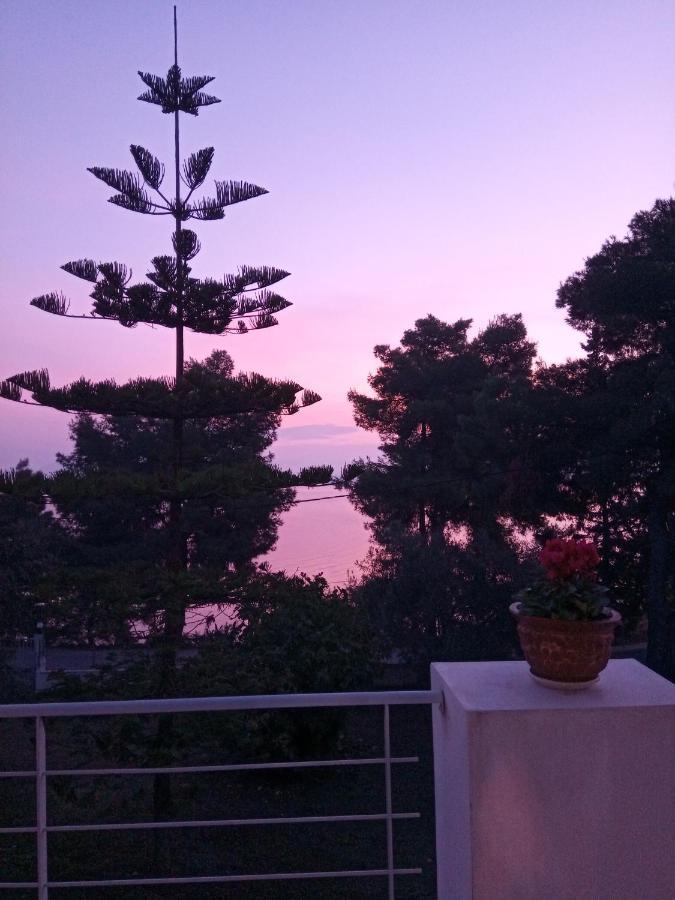 Iliahtida Daire Chalkís Dış mekan fotoğraf